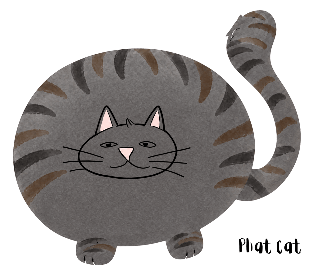 Phat Cat French terry hoodie - Stellar Minds Apparel