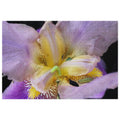 Iris with Tiny Caterpillar Jigsaw puzzle with tin - Stellar Minds Apparel
