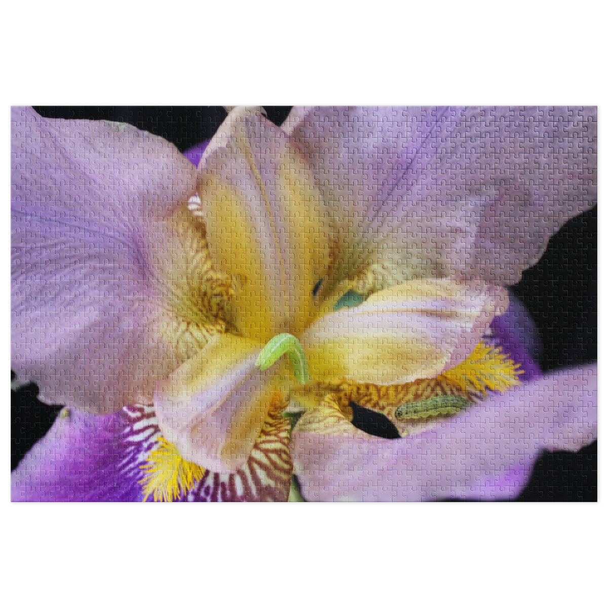 Iris with Tiny Caterpillar Jigsaw puzzle with tin - Stellar Minds Apparel