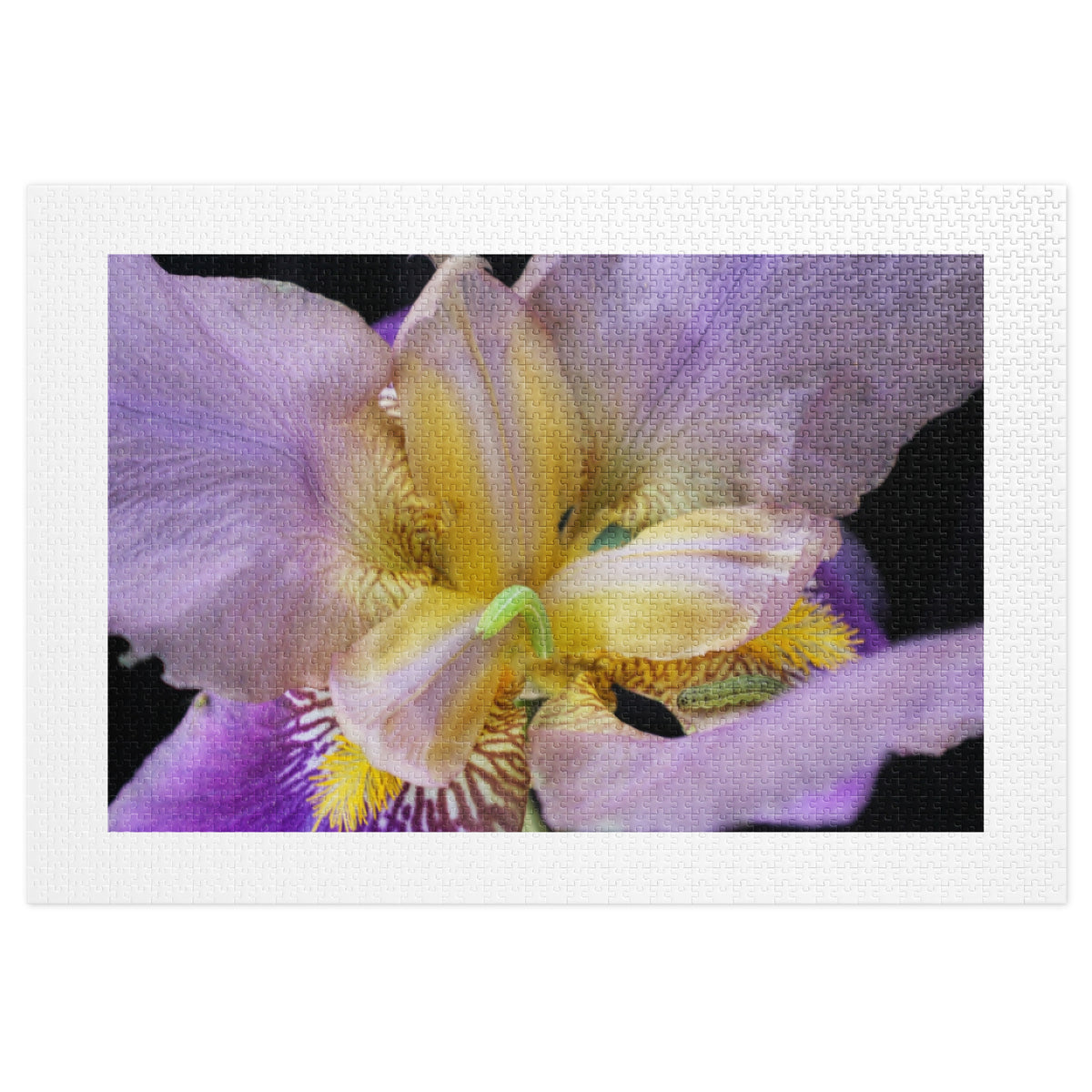 Iris with Tiny Caterpillar Jigsaw puzzle with tin - Stellar Minds Apparel