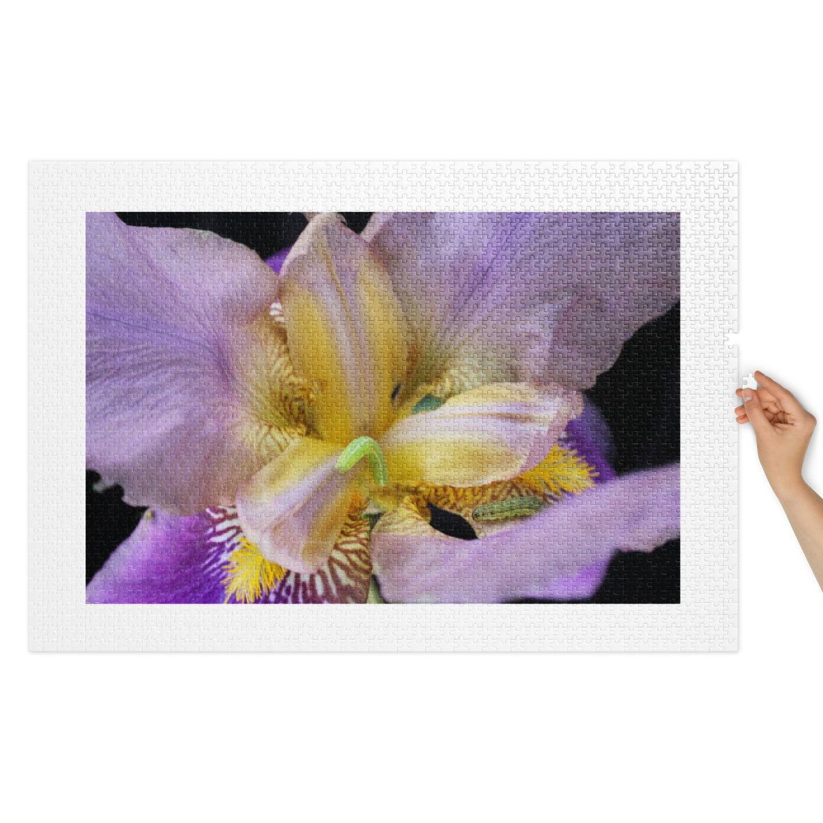 Iris with Tiny Caterpillar Jigsaw puzzle with tin - Stellar Minds Apparel