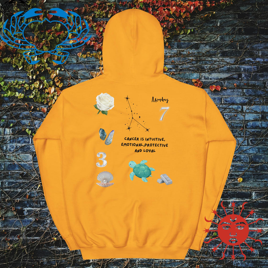 Cancer Zodiac Anyone Hoodie - Stellar Minds Apparel