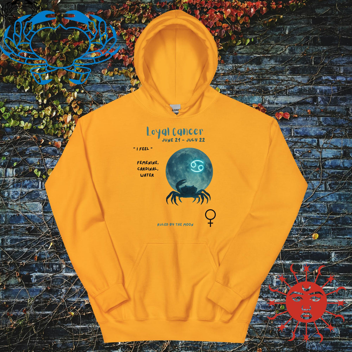 Cancer Zodiac Anyone Hoodie - Stellar Minds Apparel