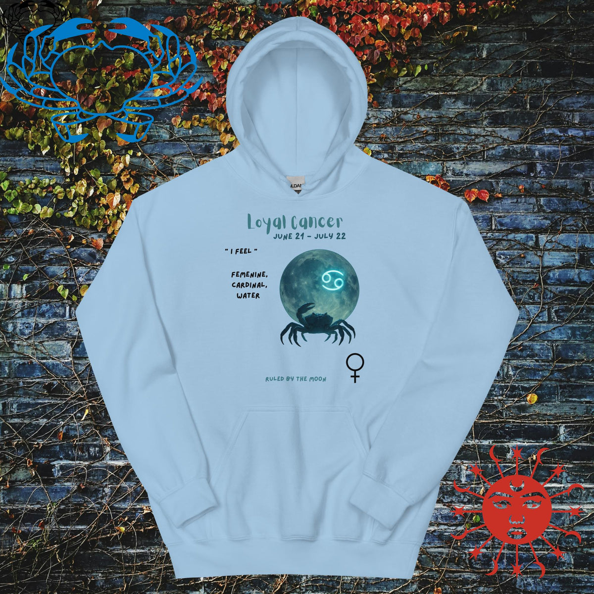 Cancer Zodiac Anyone Hoodie - Stellar Minds Apparel