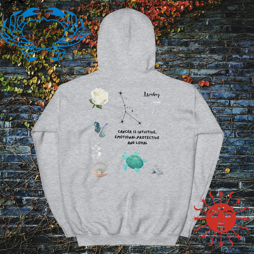 Cancer Zodiac Anyone Hoodie - Stellar Minds Apparel