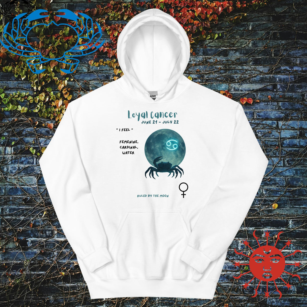 Cancer Zodiac Anyone Hoodie - Stellar Minds Apparel